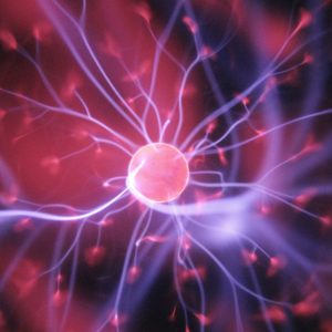 What Does the Future Look Like?